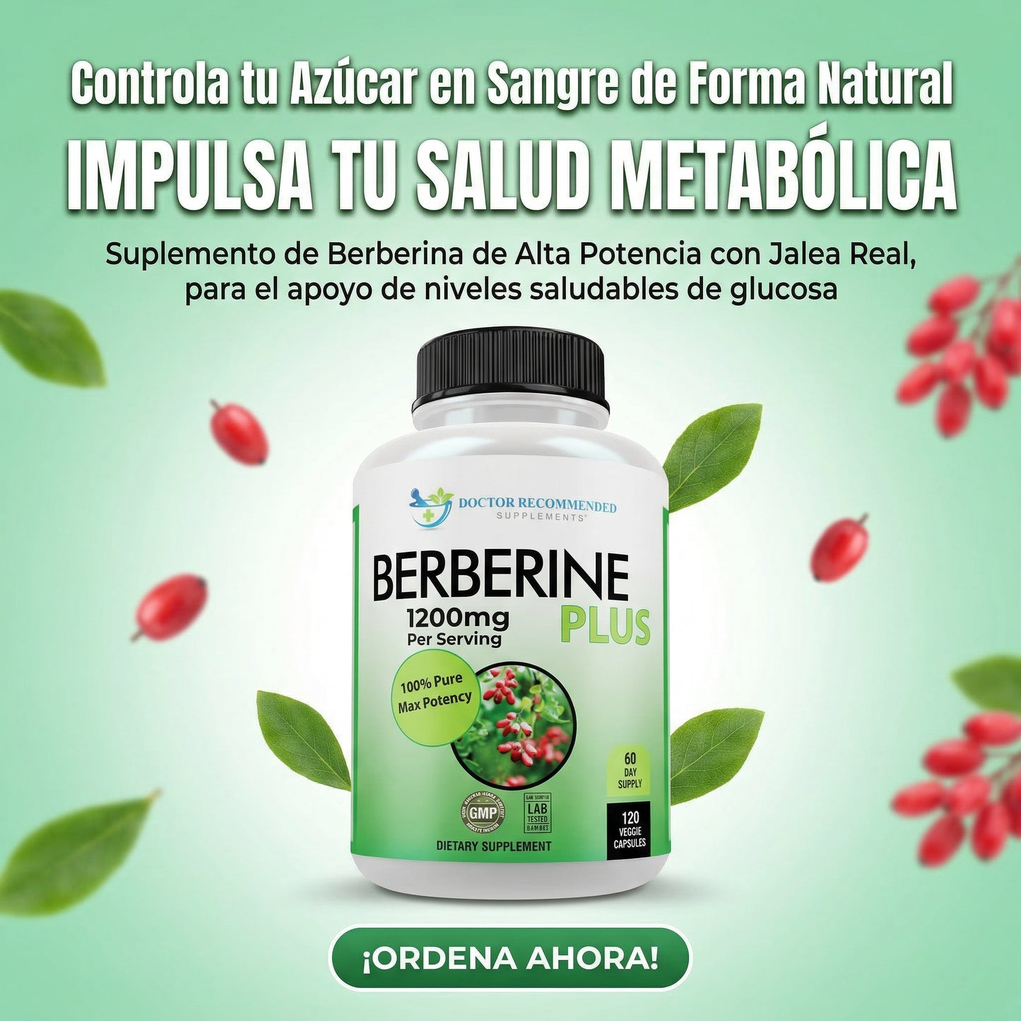 Berberina | Regula tu Sangre de Forma Natural + ENVIO GRATIS RD