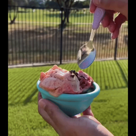 MAQUINA PARA HACER HELADOS: Caseros Fácil y Rápida