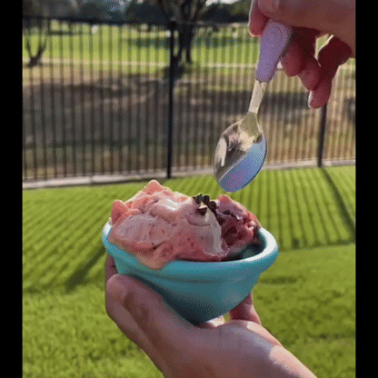 MAQUINA PARA HACER HELADOS: Caseros Fácil y Rápida